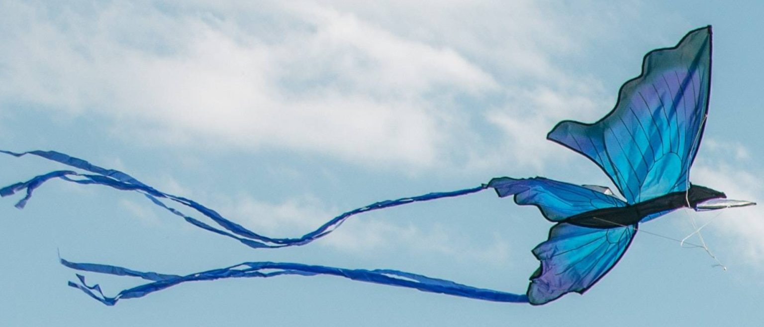 What does dreaming about kites mean? Explore Your Dream Life